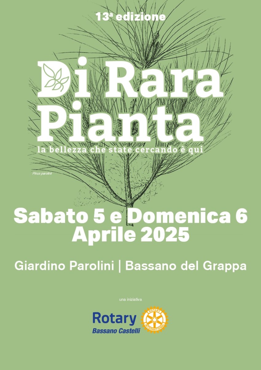 cartolina Di rara pianta 2025 ultima